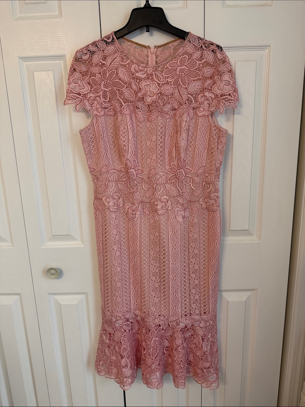 Tadashi Shoji Alice Empowered Lace Dress size 14